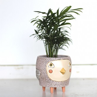 Bye Bye Birdie Pot Planter