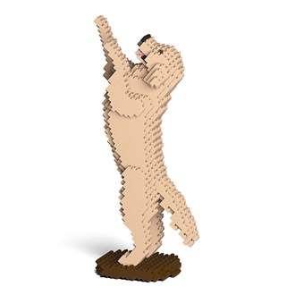 Jekca: Golden Retriever 04S-M03