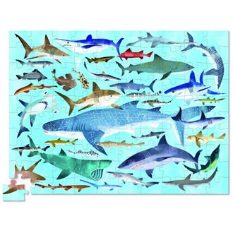 300pc Puzzle 36 Sharks