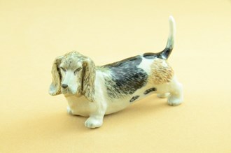 Basset Dog