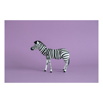 FUKUNAGASHIKO GU-PA TOP TO TAIL ZEBRA PUZZLE